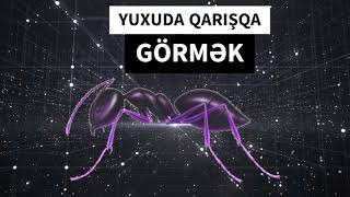 Qarışqa yuxuda - Yuxuda qarışqa görmək