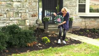 Details How to Assemble | Iron Stop® Dragonfly Kinetic Wind Spinner News