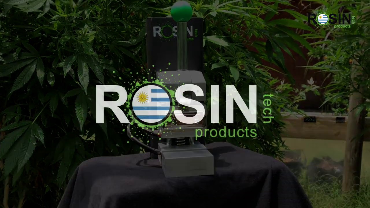 Te presentamos la GO