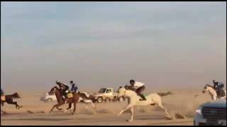 هذا سباق الخيل بالخفجي تحدي بين المرة والهواجر وشارك معهم راكان حمد نجران الجعفري الشمري بحصانه ضيغم