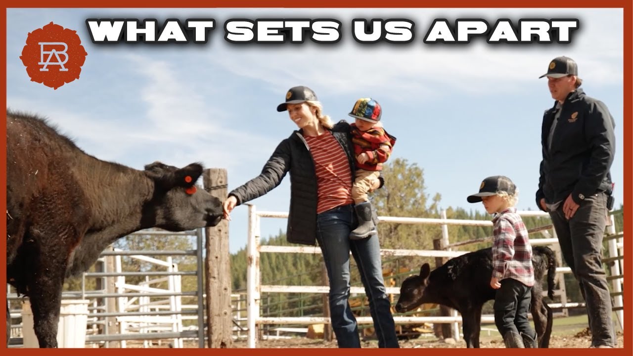 Raising Wagyu: How They Do It vs. How We Do It | Browsey Acres