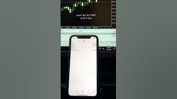 algo trading bot forex, hft,  high frequency trading