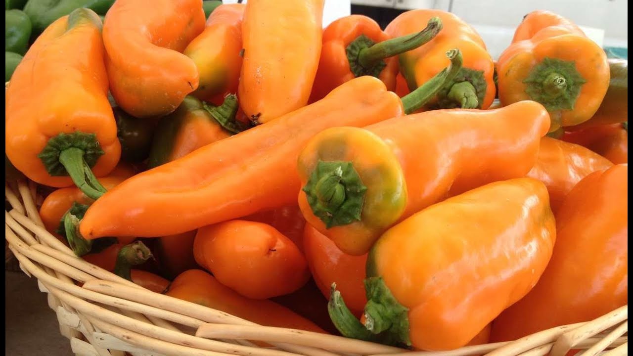 Baltimore photographer research How to roast peppers bbq grilled pepper recipe YouTube
