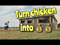 How We Raise and Sell Chickens On A Small Scale.