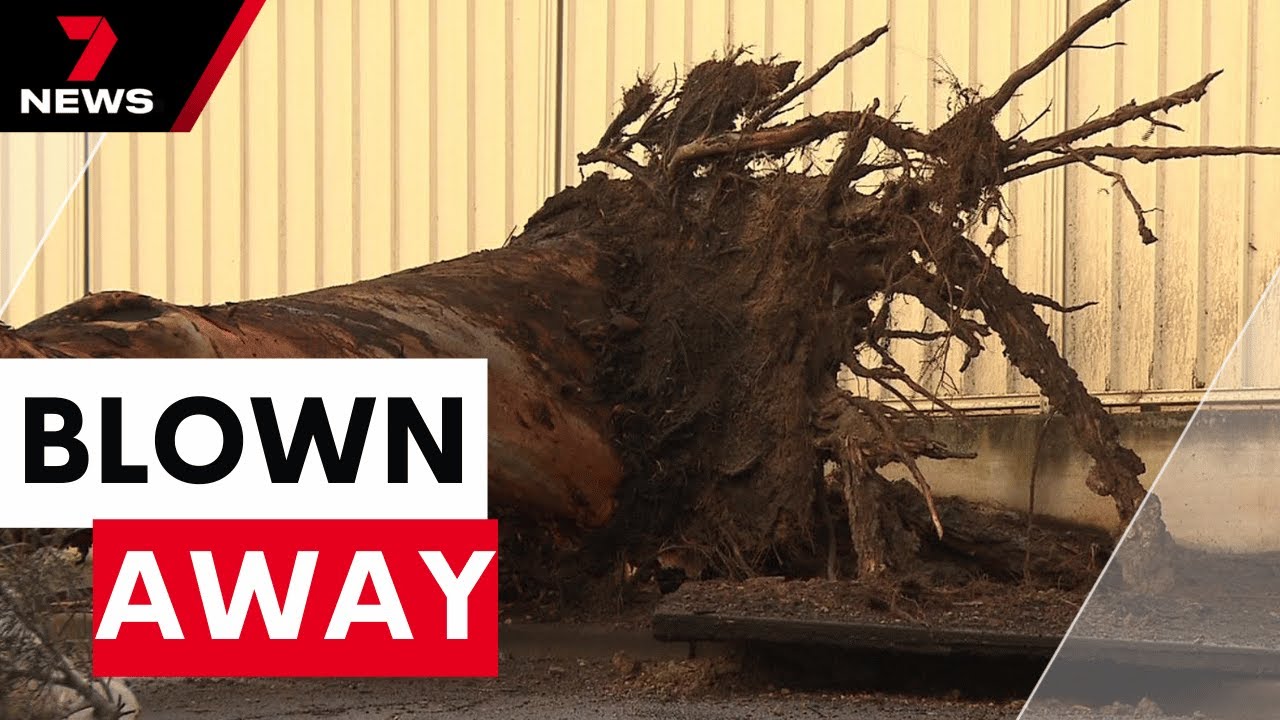 Thousands without power as South Australia lashed by wild winds | 7NEWS ...