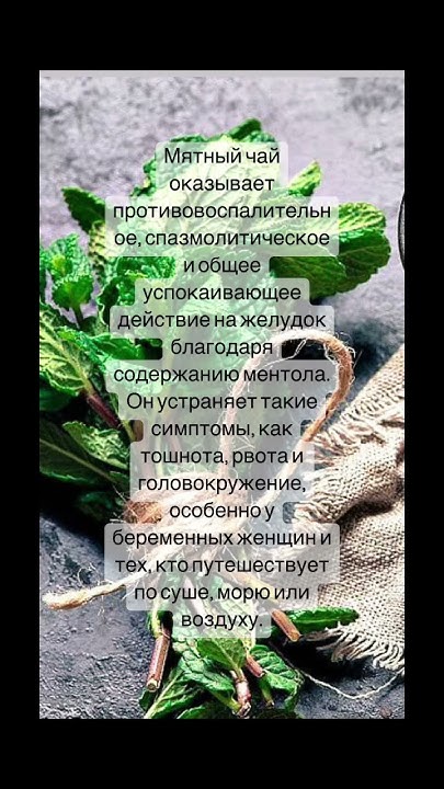 Польза мятного чая - YouTube