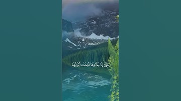 وسيق الذين كفروا إلى جهنم زمرا /قرآن كريم  ياسر الدوسري سورة الزمر #قرآن_كريم #حالات_واتس