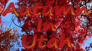 Autumn in Utah