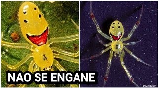 Ao dolorosas veias aranha toque da