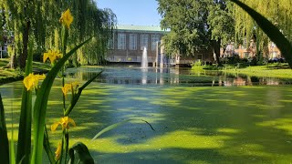 Zondag 27 oktober 2024 10:00 uur - ds. K. Hage, s' Gravenzande