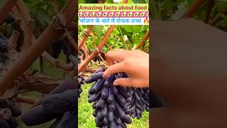 Mind blowing Amazing facts about food 🥝 | Food facts in hindi #facts #shorts