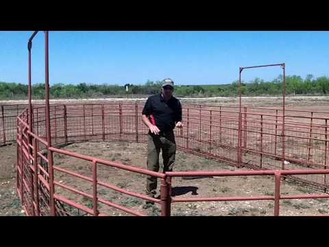 Exercising your lamb and goat projects with Track Dog Exercising your lamb and goat projects with Track Dog