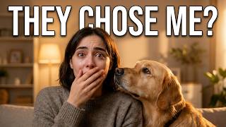 “Your Dog Secretly Chooses ONE Safe Person 🐶❤️”