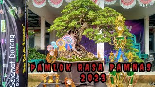 Ajang Pameran Bonsai Termegah Pamlok Batuputih Sumenep 2023