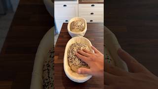 20% Rye Seeded Sourdough Bread#shorts
