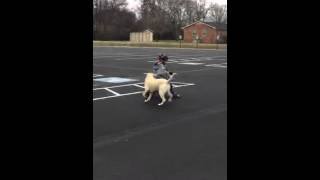 Christina Sharpes New Periscopes Just Out January 9, 2016, 455 Pm