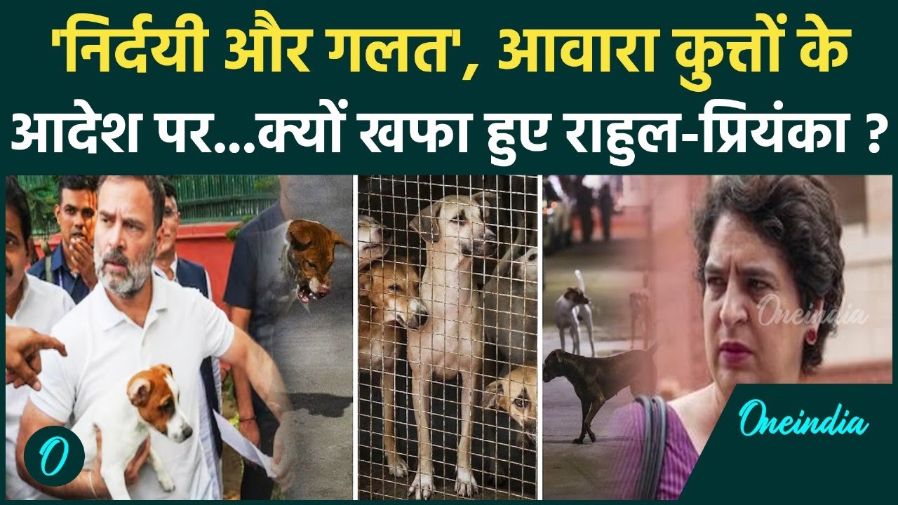 Supreme court on stray dogs : आवारा कुत्तों के आदेश पर Rahul Gandhi भड़के,  क्या कहा ? | वनइंडिया