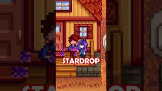 The Purpose of Marriage In Stardew Valley
