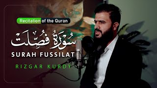 سورة فصلت | تلاوة تبكي القلوب وتشرح الصدور | رزكار محمد