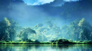 Background Video Pemandangan Alam - Danau Indah (03) | HD No Copyright
