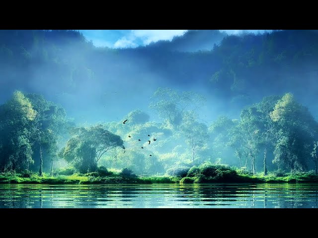 Background Video Pemandangan Alam - Danau Indah (03) | HD No Copyright class=