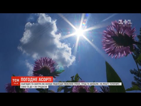 Погода в Україні:
