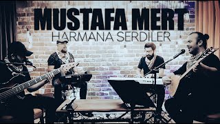 Mustafa Mert - Harmana Serdiler Sarı Samanı Resimi