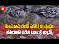 హిమాచల్లో ఘోర విషాదం..లోయలో పడిన టూరిస్ట్ ట్యాక్సీ | Himachal |Tourist Taxi Plunges into Valley