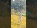 mere gaon ka khet 🌿