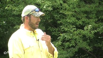 ORVIS - Fly Casting Lessons - How to Avoid Hitting Your Rod with Your Fly