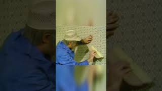 Mister Rogers Helps with Wallpaper #mrrogers #houserenovation #wallpaperinstallation #housework