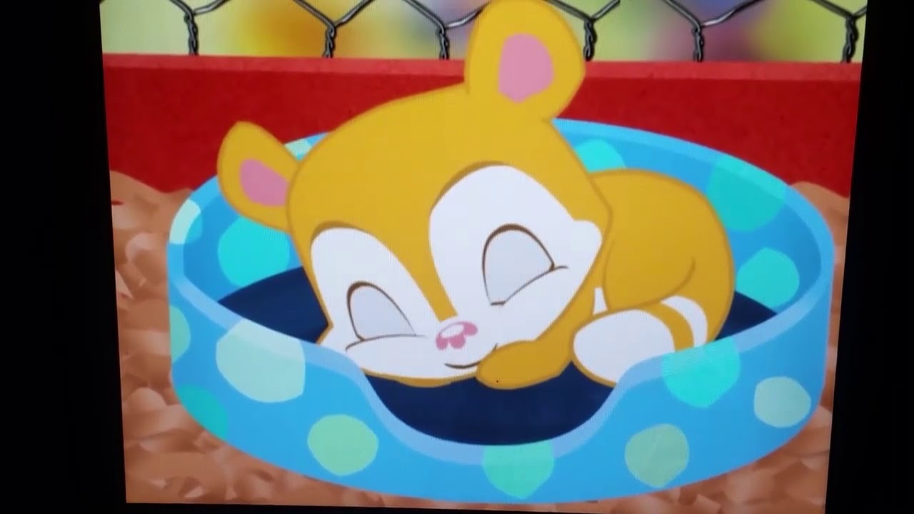 Class Pet Waking Up Chip Chipv YouTube