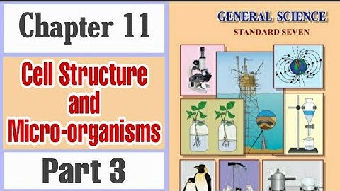 Class 7 science 11 Cell Structure and Microorganisms, Part 3, Maharashtra Board