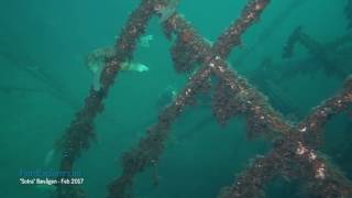 Sotra Bøvågen Feb 2017