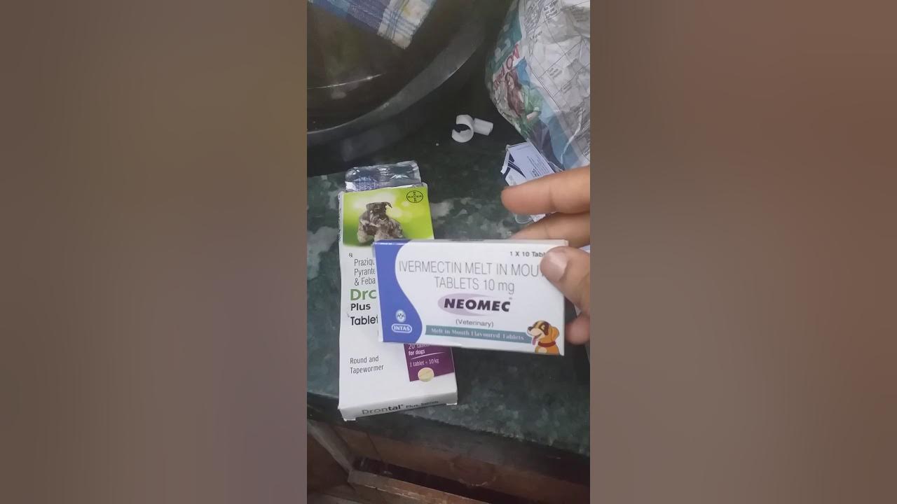 Emergency Medicine Kit first aid kit for pets,Stray Dogs,Cats,Animals