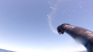 Throwing Flasher