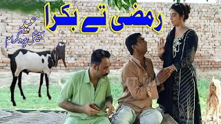 Ramzi Ty Bakra / Eid Gift / Sanam / Moula Bux / Waheed Thakur / New Funny Video / By AN TV 2020
