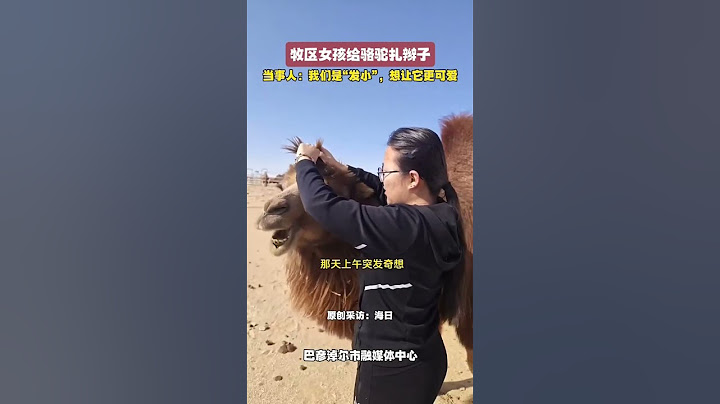 牧区女孩给骆驼扎辫子，当事人：我们是“发小”，想让它更可爱（来源：掌上巴彦淖尔）