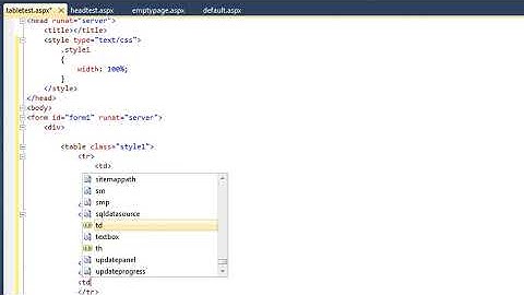 ASP.NET 4.0 Essential Skills Lesson 2-5: Create an HTML table