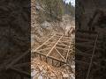 Building a Secret Mountain Bunker Inside a Hill #short video #bunker #forest 🏡