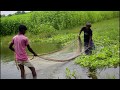 Best Cast Net Fishing Video - The Most Catch Fishing With Beautiful Natural - Net Fishing in Village