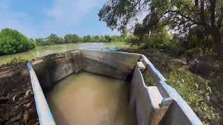 Trailer The Pidada Intimacy