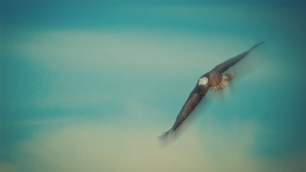 Dieu des esprits des prophètes 2026 / God of the prophets’ spirits  