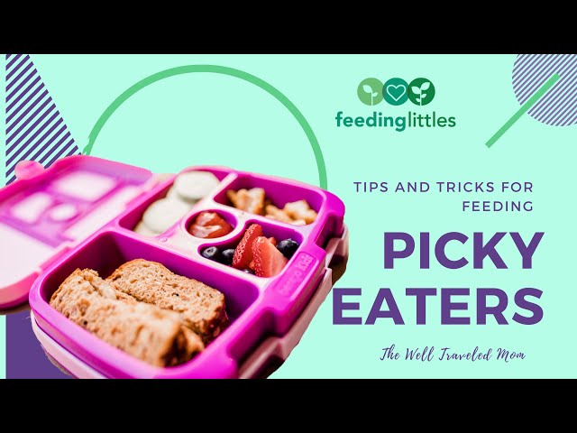 The Ultimate Guide to my Favourite Feeding Accessories - My Little Eater