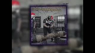 Dj ikeraus - Danca do ya ya mijo - (Slowed Reverb)
