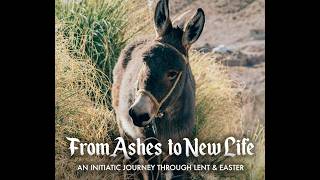 Palm Sunday - March 29, 2026