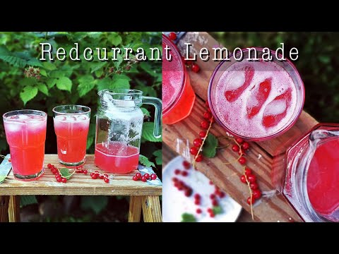 How to make Redcurrant Lemonade I Red Currant Lemonade made with Homegrown Redcurrants
