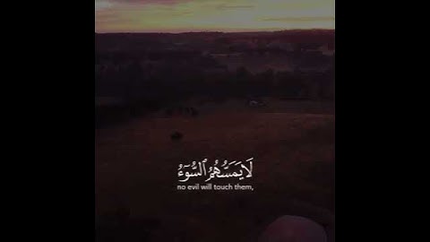 سورة الزمر قارئ عبدالله الموسی