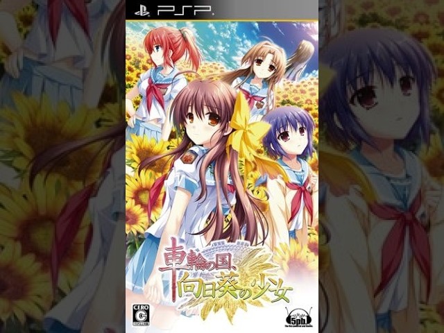 PSP version