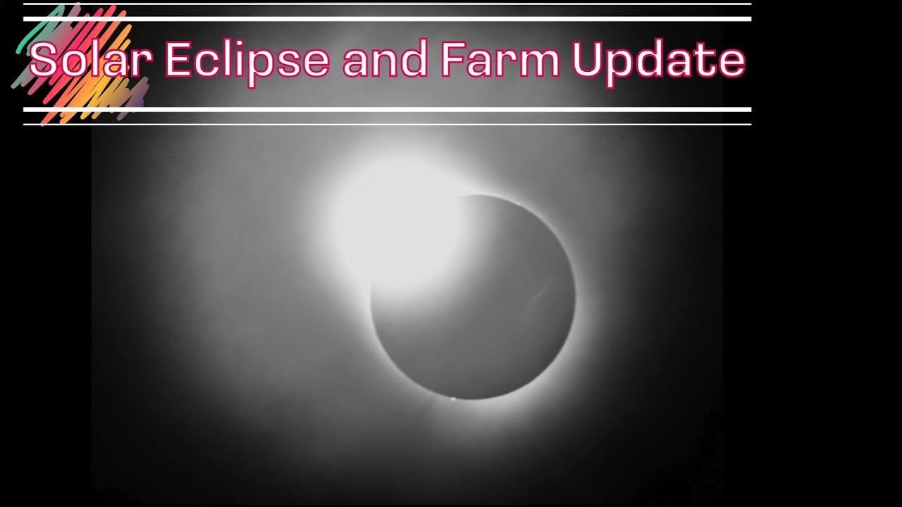 April 8th Update & Solar Eclipse - YouTube